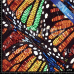 375192 SAI CANUTILLO MARIPOSAS SAI AQ