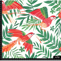 380079 SAI TROPICALES 1 SAI B