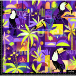 380265 SAI CARNAVAL TUCAN 2 SAI B