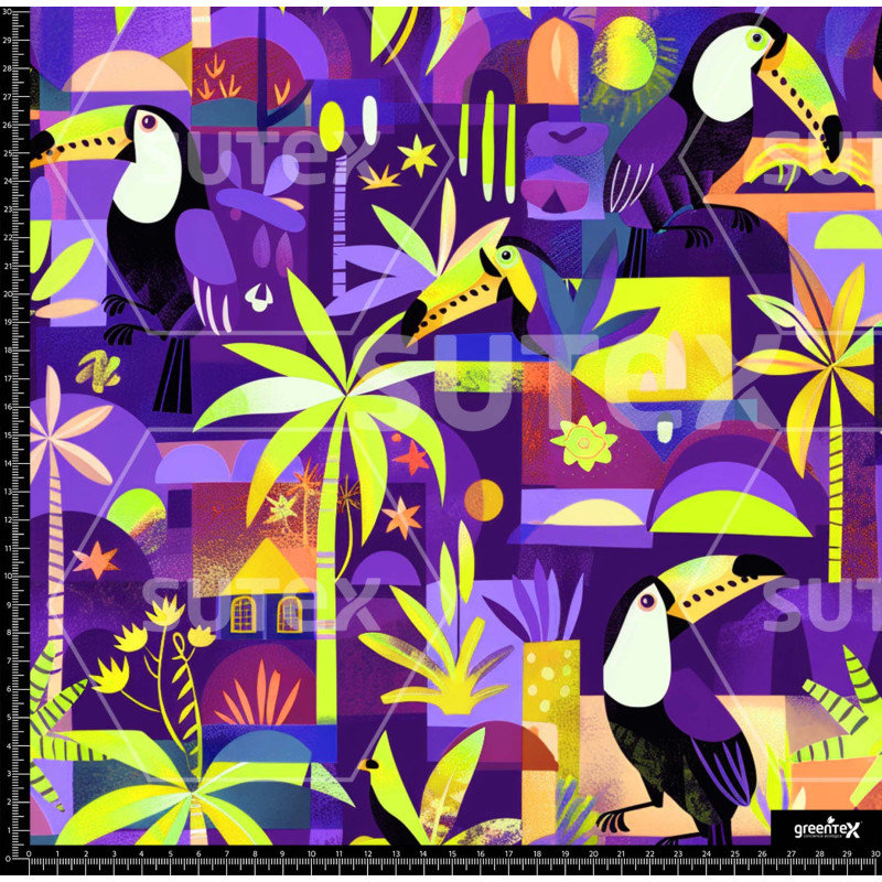 380265 SAI CARNAVAL TUCAN 2 SAI B