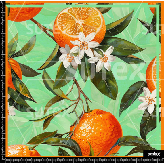 380272 SAI MANDARINS SAI B