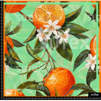 380272 SAI MANDARINS SAI B