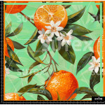 380272 SAI MANDARINS SAI B
