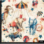 380348 SAI CIRCUS 1 SAI B