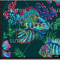 380555 SAI SEALIFE 2 SAI B