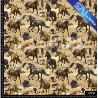 380365 CABALLO T2 SAI FS