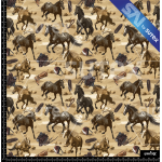 380365 CABALLO T2 SAI FS