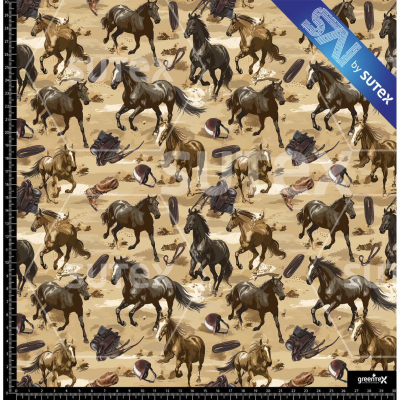 380365 CABALLO T2 SAI FS