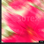 378007 ER LIRIOS DESENFOCADOS FUCSIA ER