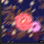 378013 ER RAMOS FLORALES DIFUSOS ER