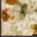 378011 ER ORQUIDEA DIFUMINADA ER