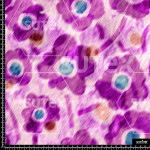 378040 AQ REMAT RED AQ