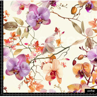 381244 SAI ORCHID ORCHID 2 SAI B