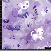 381243 SAI BABYCATS1 SAI B