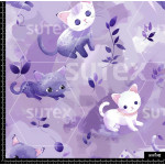 381243 SAI BABYCATS1 SAI B