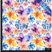 382589 TROPICAL J SAI FS