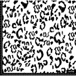 378863 MANCHAS ANIMAL BYN Z