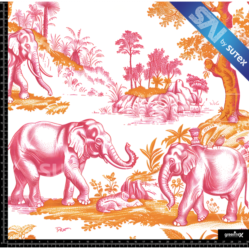 381083 ELEFANTE1 SAI FS