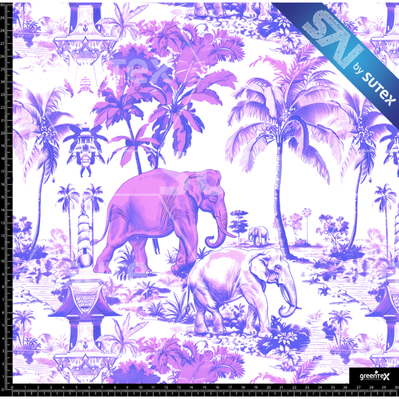 381084 ELEFANTE2 SAI FS