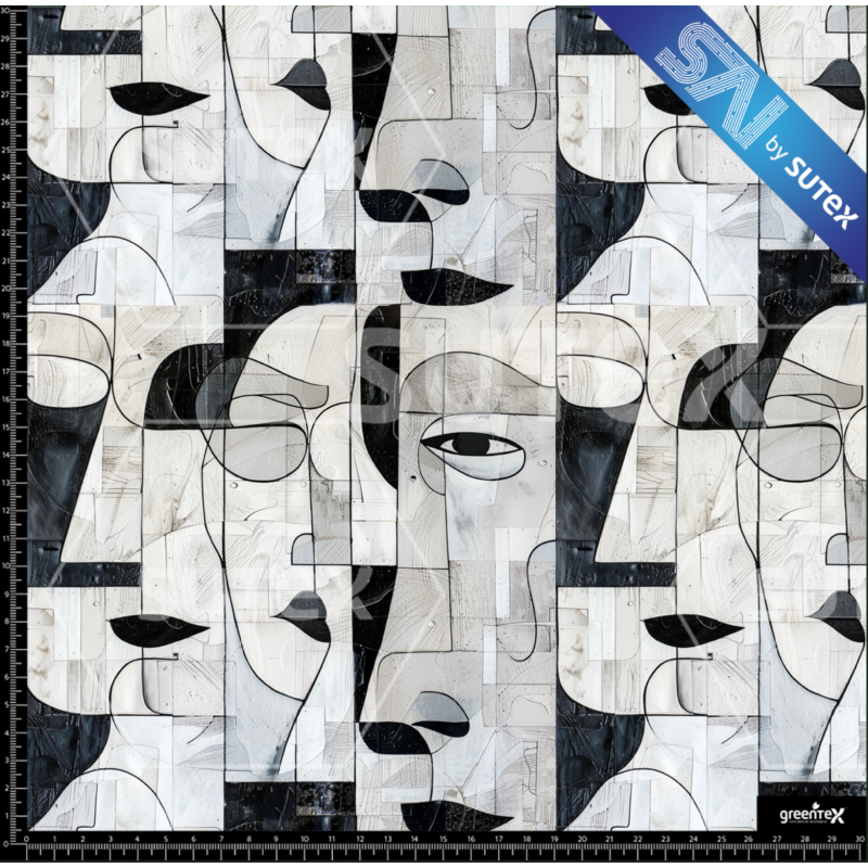380963 CARAS5 SAI FS