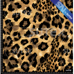 382473 LEOPARD H SAI FS