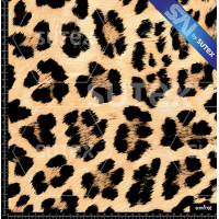 382478 LEOPARD N SAI FS