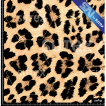 382478 LEOPARD N SAI FS