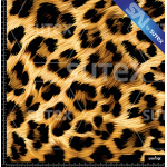 382477 LEOPARD M SAI FS