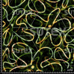 382059 AQ ABSTRACT FLOWER LINE AQ