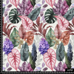 383270 AQ EXOTICLEAVES AQ