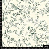 382763 AQ BOTANIC ILLUSTRATION AQ