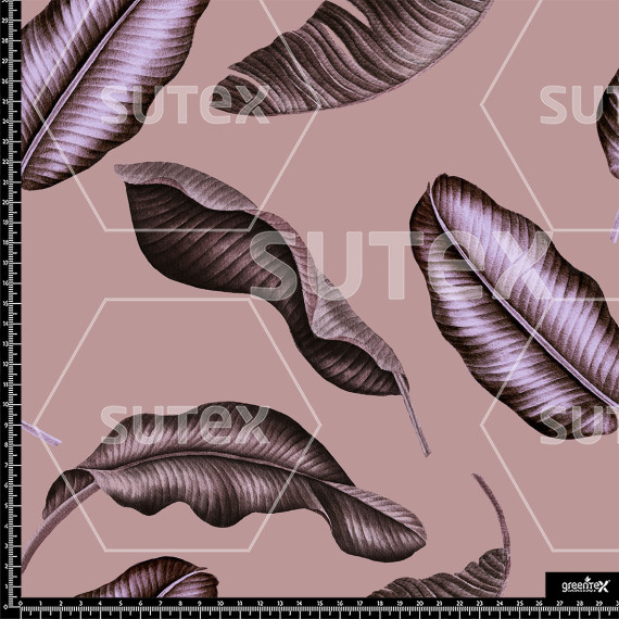 382138 AQ OTONOROSA MOD AQ