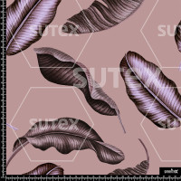 382138 AQ OTONOROSA MOD AQ