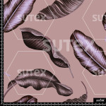 382138 AQ OTONOROSA MOD AQ