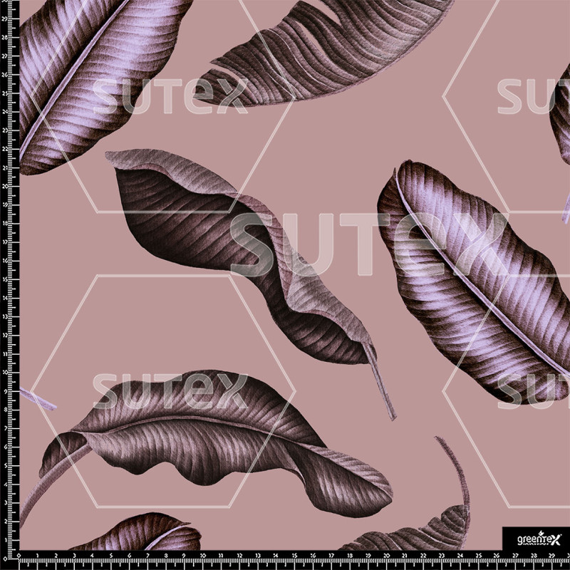 382138 AQ OTONOROSA MOD AQ