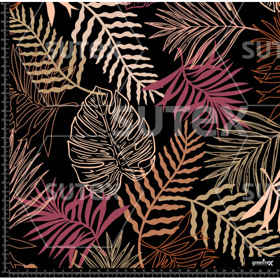 383325 TROPICOS DESERTIC LINEAL
