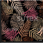 383325 TROPICOS DESERTIC LINEAL