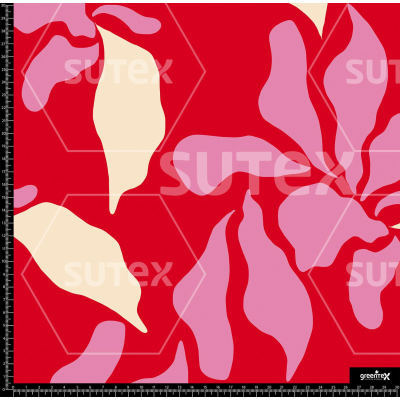 383769 BB FORMASHOJAS 1 B