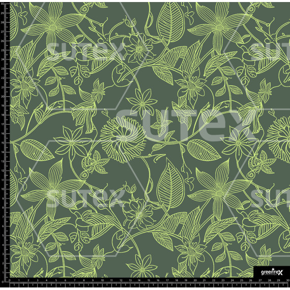 386072 FLORES DELINEADAS SS AR