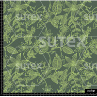 386072 FLORES DELINEADAS SS AR