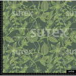 386072 FLORES DELINEADAS SS AR