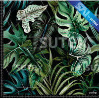 383491 TROPICAL NGS AR