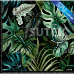 383491 TROPICAL NGS AR