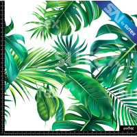 383515 TROPIC BLAN AR