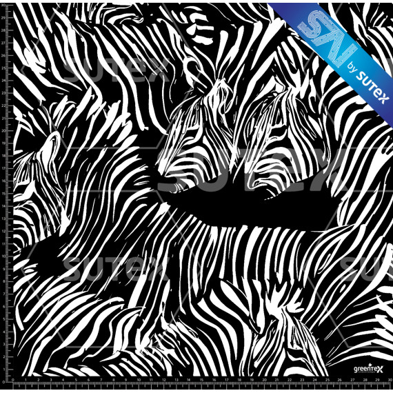 384195 ZEBRAS FUCIONADAS P2 AR