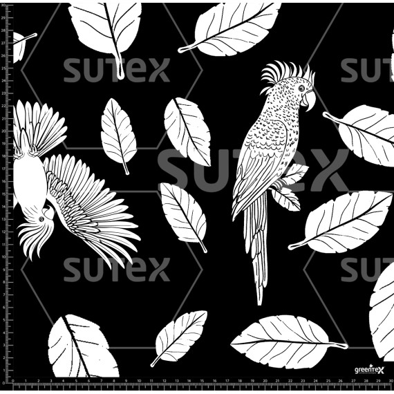 384194 SILUETAS TROPICAL AR