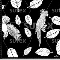 384194 SILUETAS TROPICAL AR