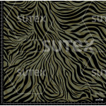 384842 ANIMAL PRINT FF AR