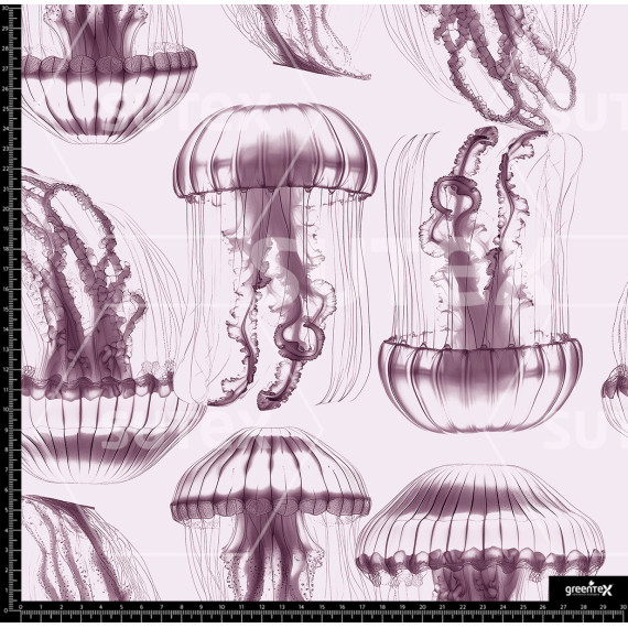385497 MEDUSAS TENUES P1 AR
