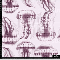 385497 MEDUSAS TENUES P1 AR
